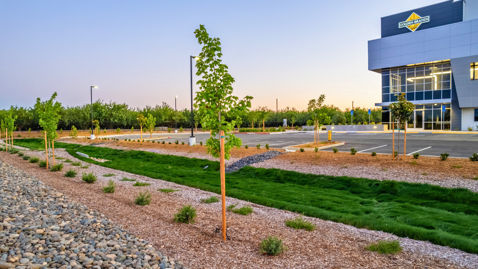 Photo of a building at sunset with trees and grass and a parking lot